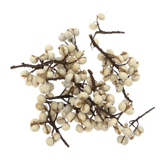 White Berries 30g  image number 3