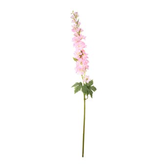 Pink Cottage Garden Delphinium 100cm x 20cm