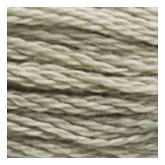 DMC Green Mouline Special 25 Cotton Thread 8m (3023)