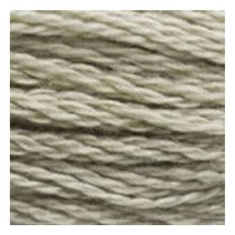 DMC Green Mouline Special 25 Cotton Thread 8m (3023) image number 2
