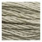 DMC Green Mouline Special 25 Cotton Thread 8m (3023) image number 2