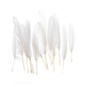 White Quill Feathers 15 Pack image number 1