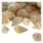 Mixed Bag of Natural Shells 250g  image number 3