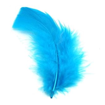 Turquoise Craft Feathers 5g image number 2