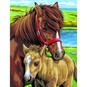 Junior Painting By Numbers Horses 2 Pack image number 3