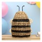 Natural Bee Basket with Lid image number 1