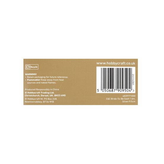 Create & Celebrate Bride to Be Sash image number 5