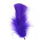 Bright Mix Craft Feathers 5g image number 2