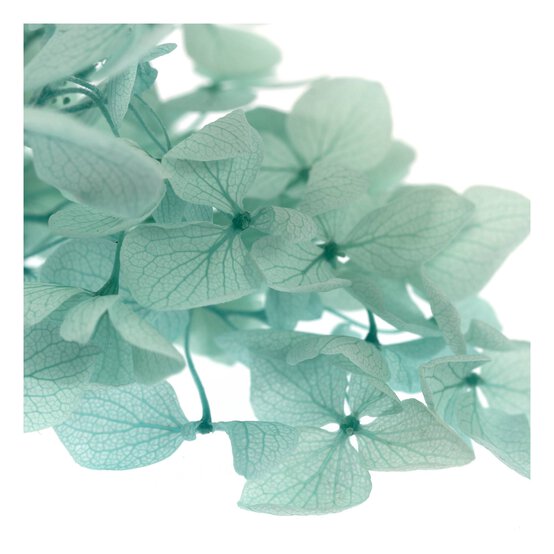 Sage Green Dried Leaves Pick 13cm image number 3