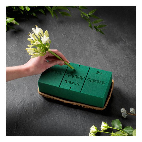 Oasis Maxlife Floral Foam Brick 23cm x 11cm x 7cm image number 3