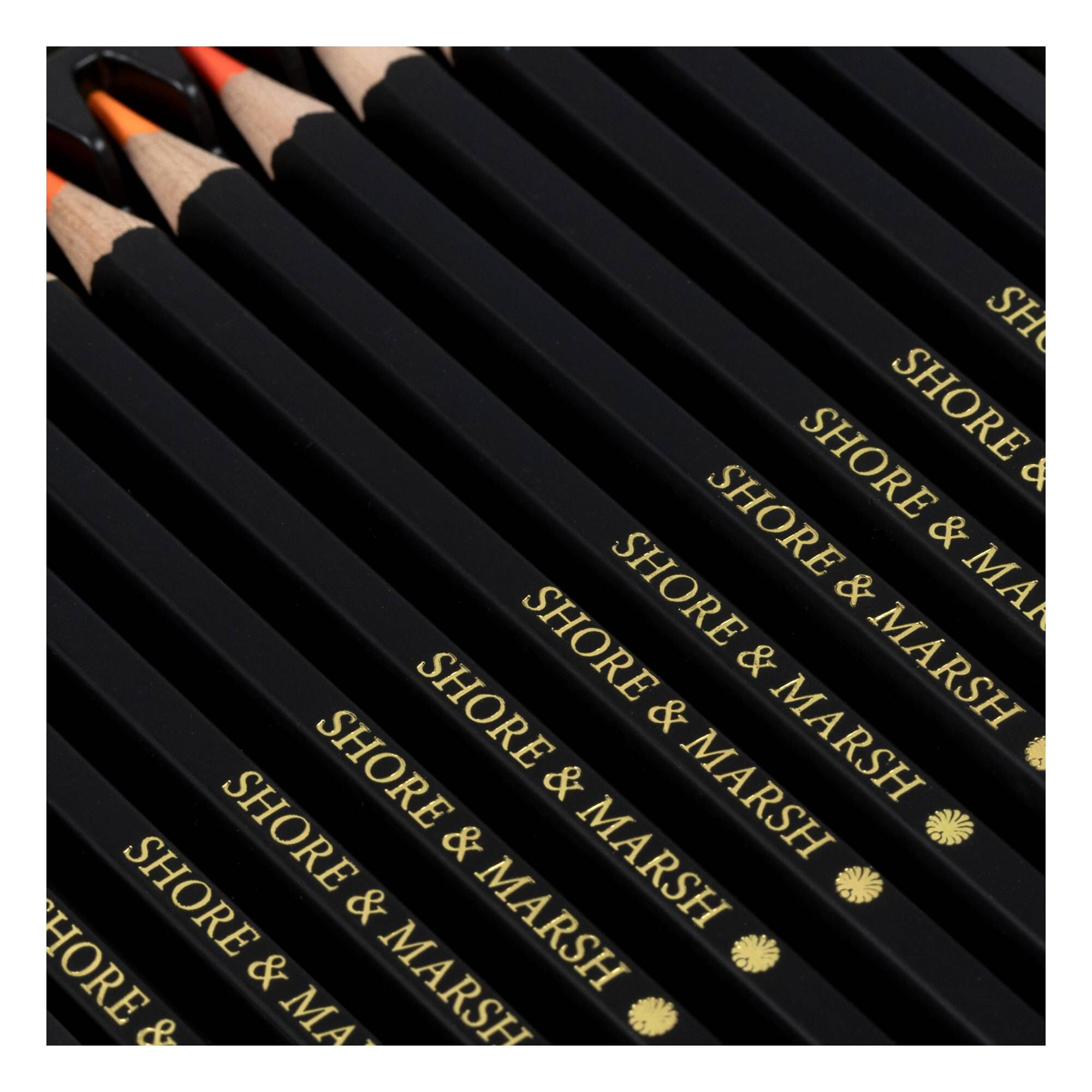 Shore & Marsh Neon Colouring Pencils 12 Pack Hobbycraft