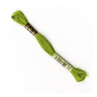 DMC Green Mouline Special 25 Cotton Thread 8m (581)