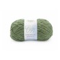 Lion Brand Loden Green Chenille Appeal 100g image number 1