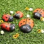 How to Make Ladybird Pet Rocks image number 1