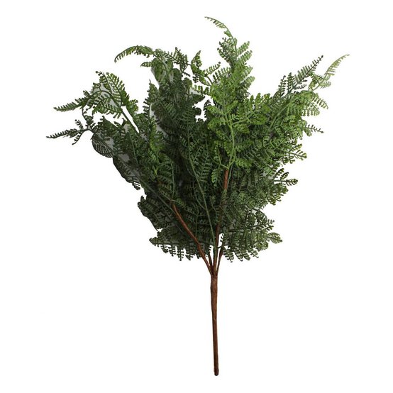 Parsley Fern 48cm image number 1