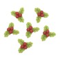 Holly Resin Decorations 6 Pack image number 1