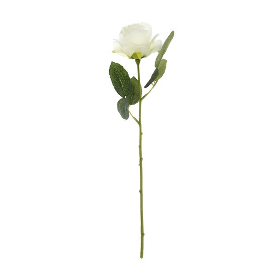 White Rose Stem 45cm image number 1
