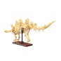 CaDA Dinosaur Fossils: Stegosaurus 297 Pieces image number 3
