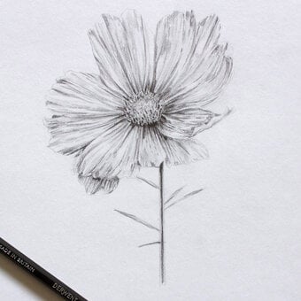 Get Started in Drawing with Charlotte Baker