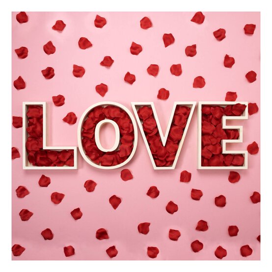 Wooden Fillable Letter Z 22cm image number 3