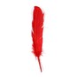 Red American Style Feathers 9 Pack image number 2