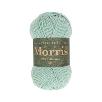 West Yorkshire Spinners Mint Morris DK 50g 