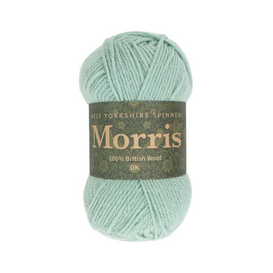 West Yorkshire Spinners Mint Morris DK 50g  image number 1