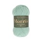 West Yorkshire Spinners Mint Morris DK 50g  image number 1
