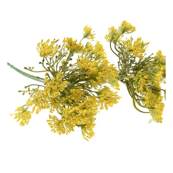 Yellow Cow Parsley Stem 43cm image number 3