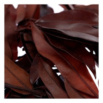 Red Sappotta Leaves 34g image number 3