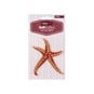 Starfish Iron-On Patch image number 4