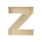 Wooden Fillable Letter Z 22cm image number 3
