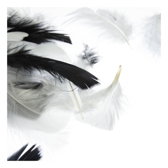 Black and White Harlequin Feather Mix 5g image number 3
