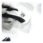 Black and White Harlequin Feather Mix 5g image number 3