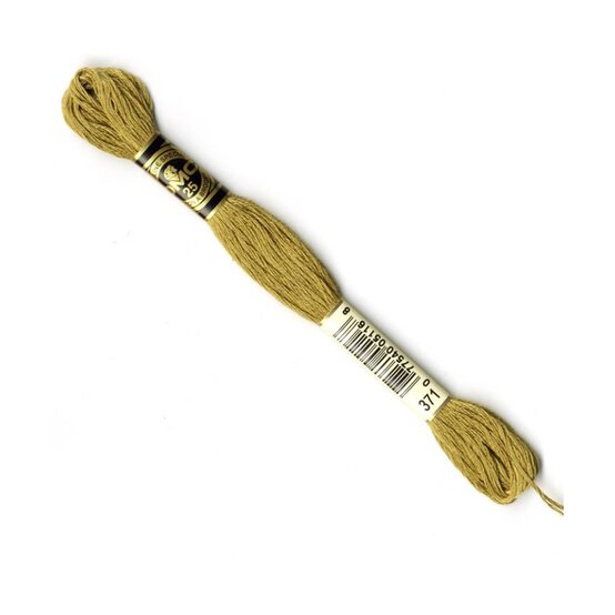 DMC Green Mouline Special 25 Cotton Thread 8m (371) image number 1