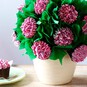 How to Make Betty Crocker Flower Bouquet Vanilla Cupcakes image number 1