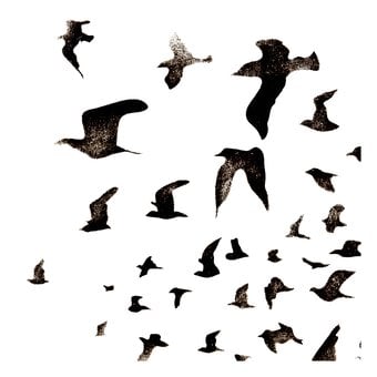 Flying Birds Stencil 21cm x 29cm 