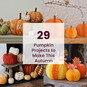 29 Pumpkin Projects to Make This Autumn image number 1