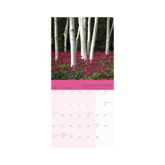 National Trust Gardens Wall Calendar 2026