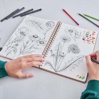 How to Draw Botanical Illustrations with a Fineliner