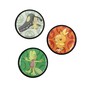 Pokemon Hoenn Alcove Click Deck Box image number 5