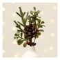 Pinecone and Berry Pick 20cm image number 1