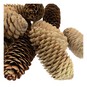 Large Pinecones 200g image number 5