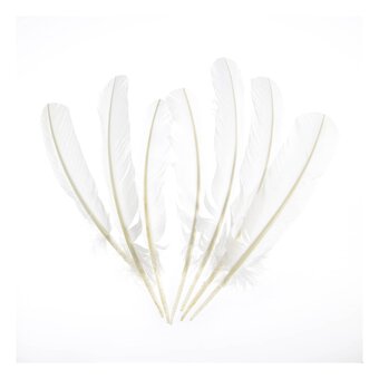 White Feathers 7 Pack