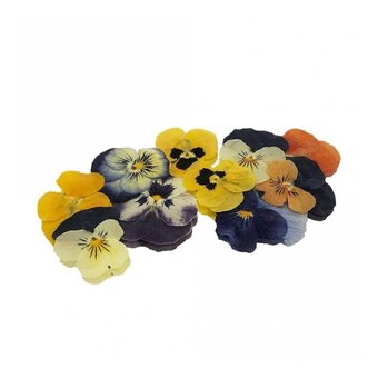 Edible Pressed Viola Flowers 25 Pack