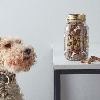 Cricut: How to Make a Personalised Pet Treat Jar