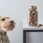 Cricut: How to Make a Personalised Pet Treat Jar image number 1