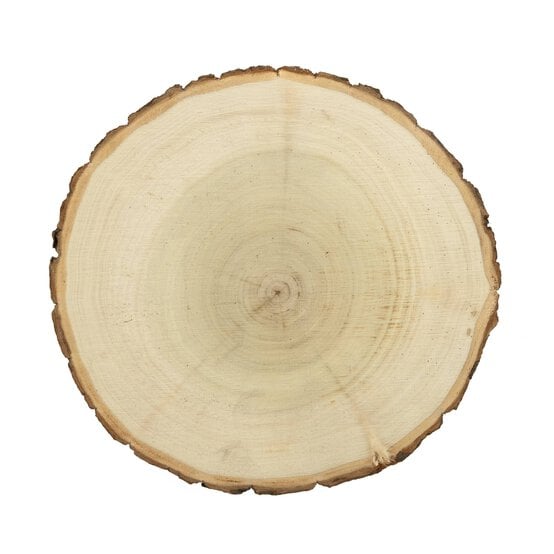 Birch Wooden Slice 15cm image number 3