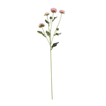 Pink Buckingham Spray Chrysanthemum 60cm