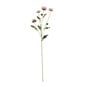 Pink Buckingham Spray Chrysanthemum 60cm image number 1